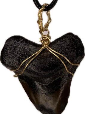 Custom Metal Wrapped Megalodon Shark Tooth Necklace - Real Fossil Pendant Gift